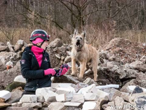 mejsi a arven jrt